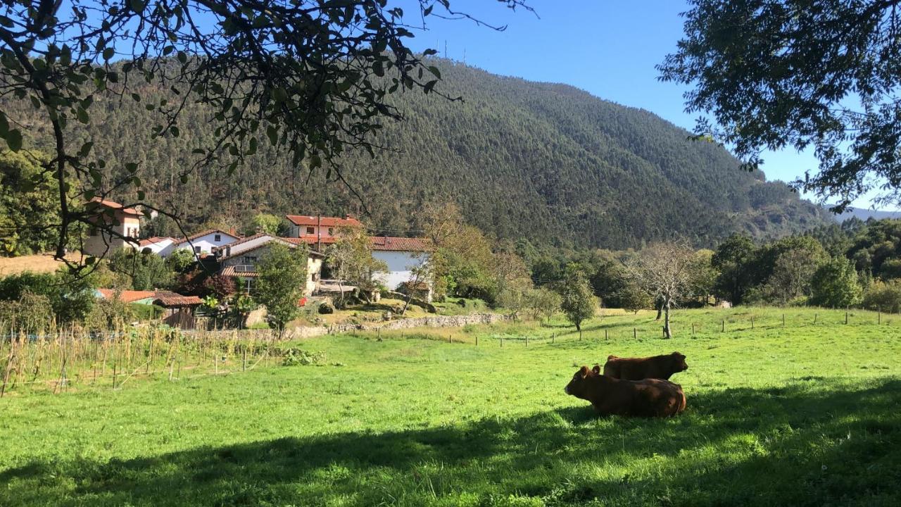 La Galayca Lägenhet El Barcenal Exteriör bild